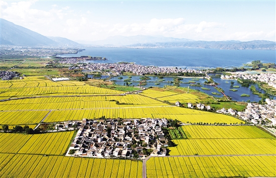 20201023A10_res11_attpic_brief 20201023A10_res11_attpic_brief