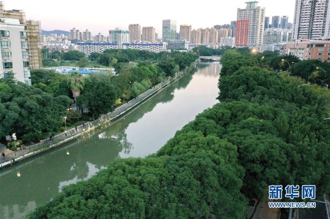 （生态）（7）榕城金秋绿意浓