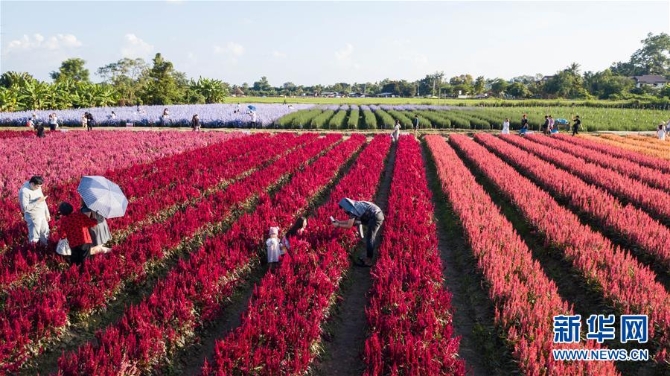 1126693589_16044022871441n