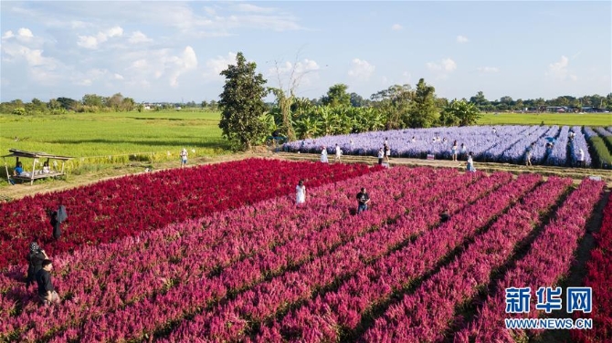 1126693589_16044022871151n