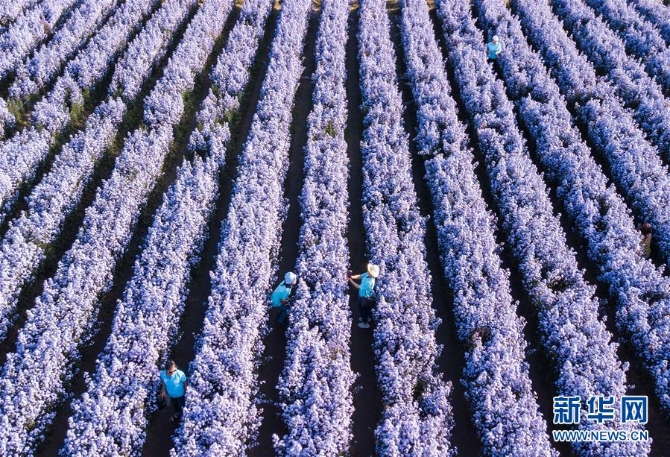 1126693589_16044022870751n