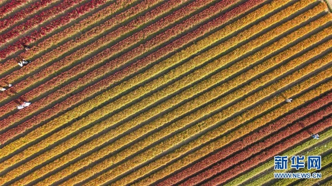 1126693589_16044022870421n