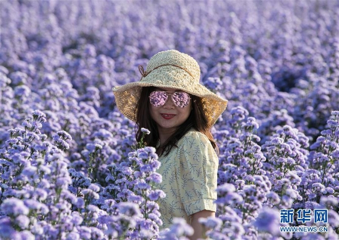 1126693589_16044022870101n