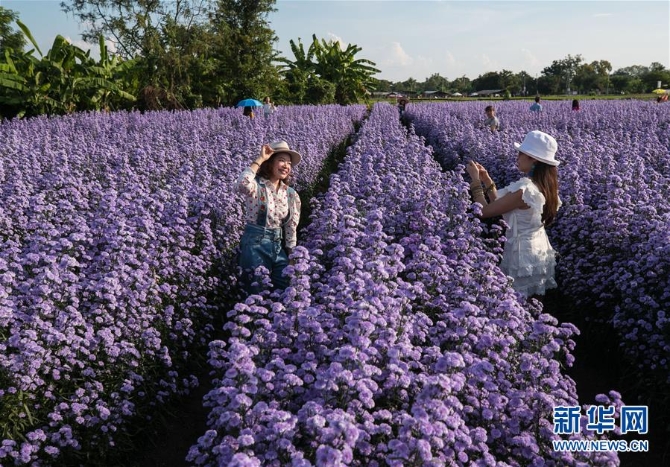 1126693589_16044022869731n