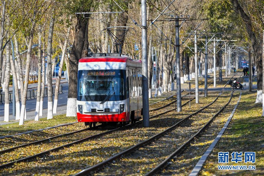 (图文互动)(1)这里为何“不扫落叶”——长春创新管理理念打造城市秋景