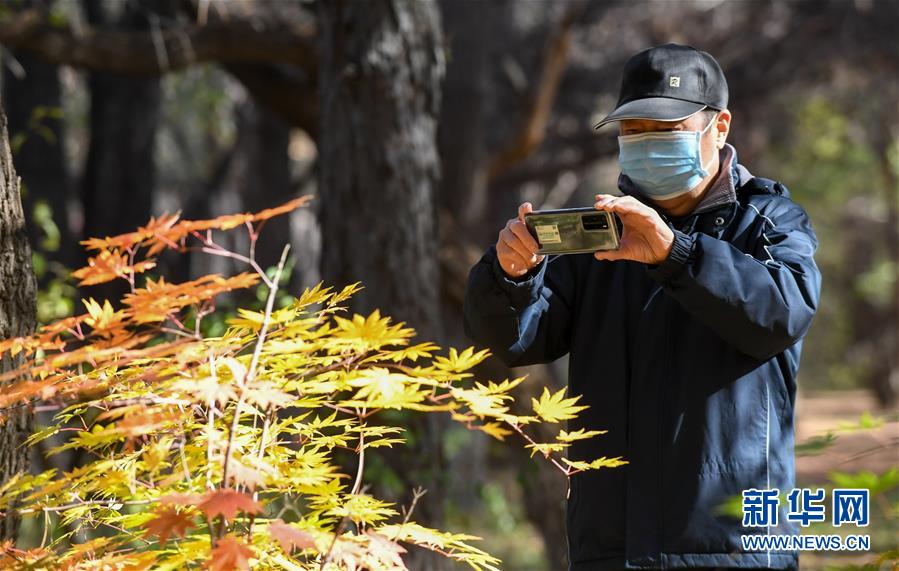 (图文互动)(4)这里为何“不扫落叶”——长春创新管理理念打造城市秋景