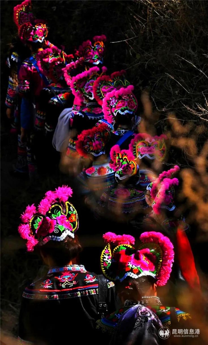 作品:《归途》 摄影者:彭学名 昆明 作品:《归途》 摄影者:彭学名 昆明