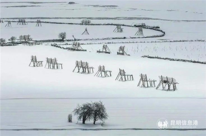 作品:《洁白的世界》 摄影者:追艺 昆明 作品:《洁白的世界》 摄影者:追艺 昆明