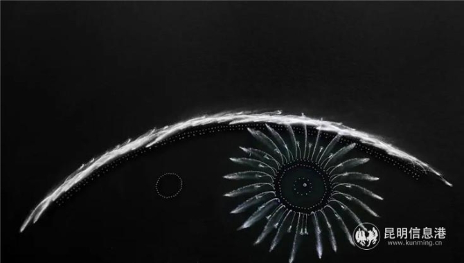 作品:《西湖的眼睛》 摄影者:韩丹 杭州 作品:《西湖的眼睛》 摄影者:韩丹 杭州