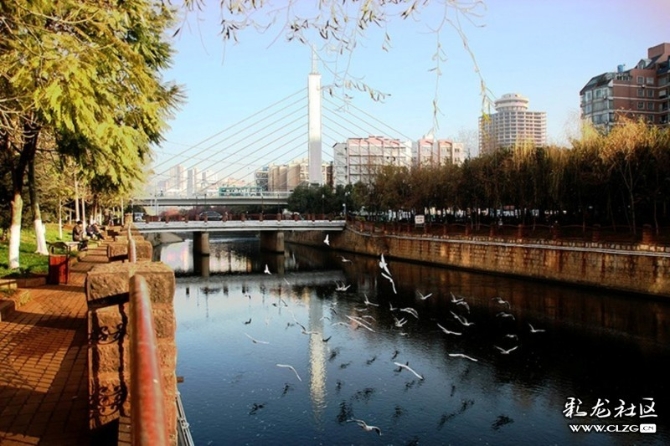 16039282556384470745722653845_34591