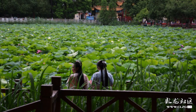 16040227315247936766530157750_34591