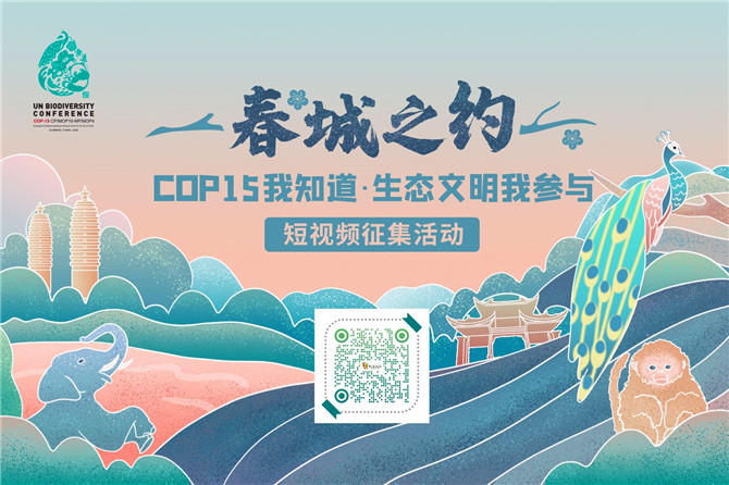 QQ图片20201111160906