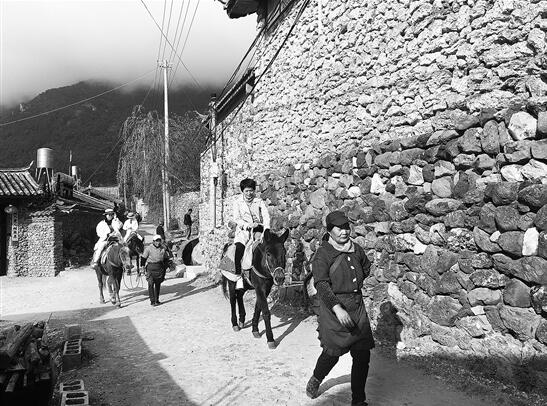 QQ截图20201118093246 QQ截图20201118093246