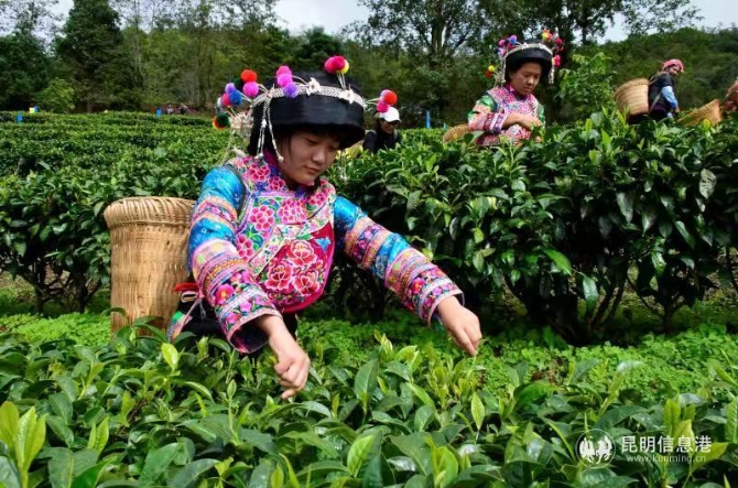 49196bef0dc97d5cfc406158bb5a5c2