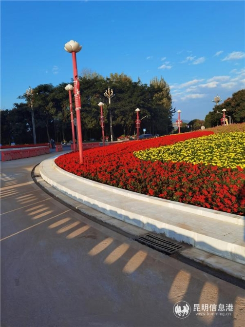 mmexport1606478852439 mmexport1606478852439