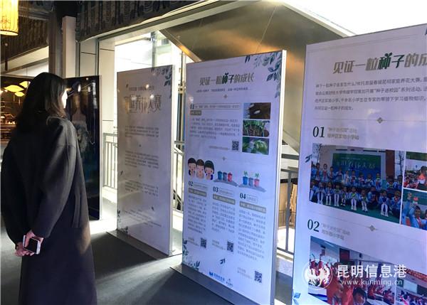 首届春城昆明家庭养花大赛作品展