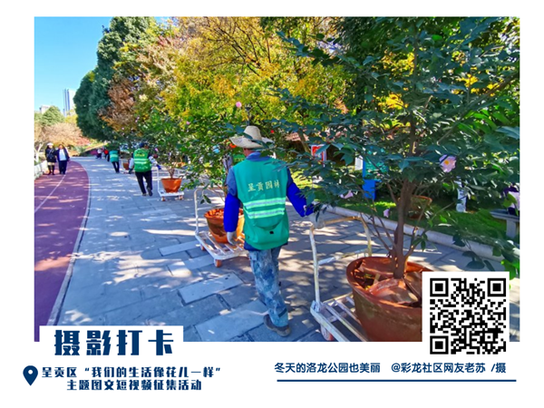 @彩龙社区网友老苏 摄