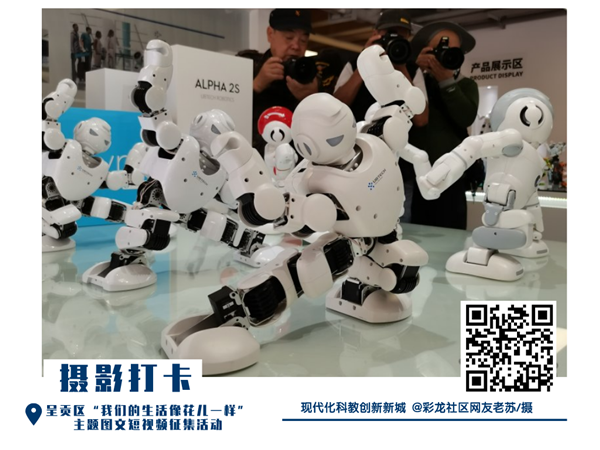 @彩龙社区网友老苏摄