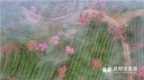 mmexport1606908363725