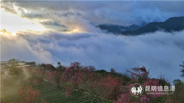 mmexport1606908388695