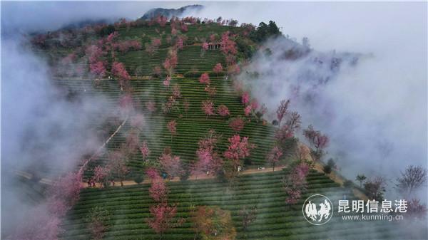 mmexport1606908398612