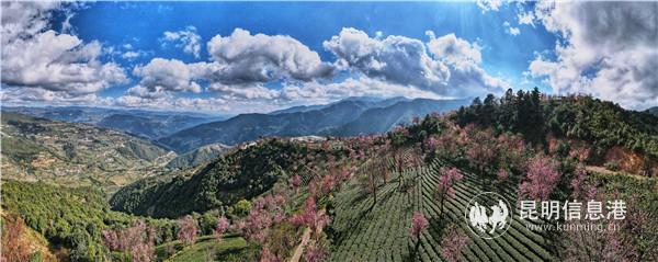 mmexport1606908417378