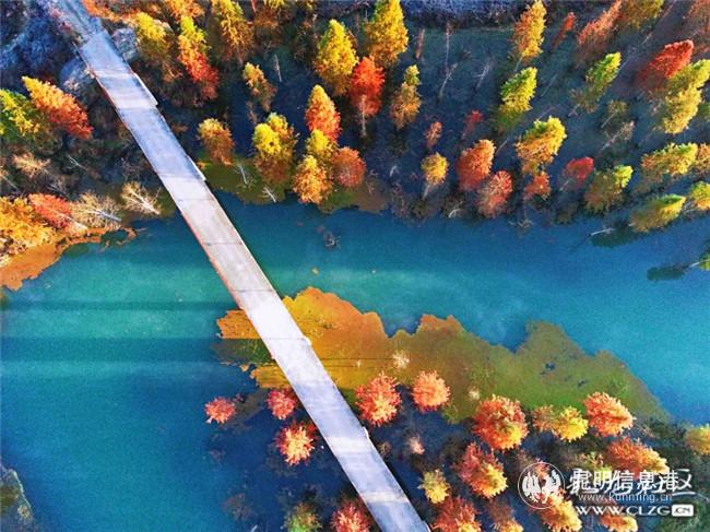 3.小竹炮 《盘龙江、北京路》 3.小竹炮 《盘龙江、北京路》