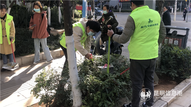清理绿化带内的垃圾