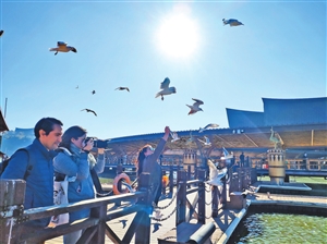 2020121402_res04_attpic_icon