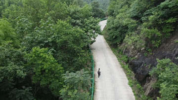 118b3f4056a54683ae37bfabcca70ad4