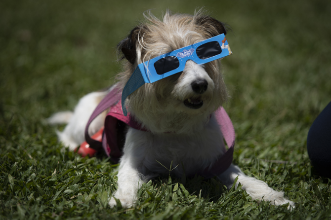 1126865961_16080796249441n