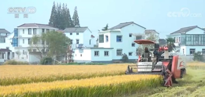 2020121613384057218 2020121613384057218