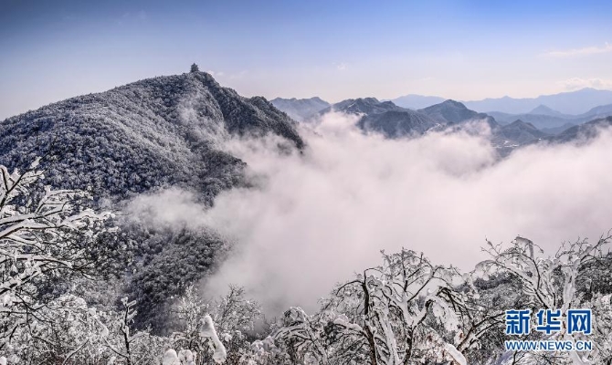 1126884647_16084654818911n