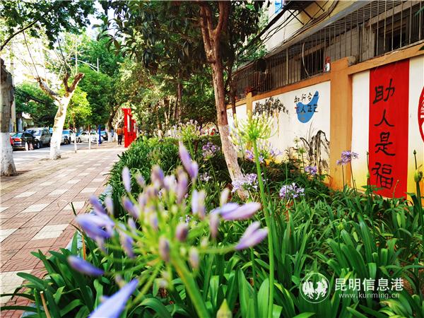 3a2709761c72734550f7776c832634a 3a2709761c72734550f7776c832634a