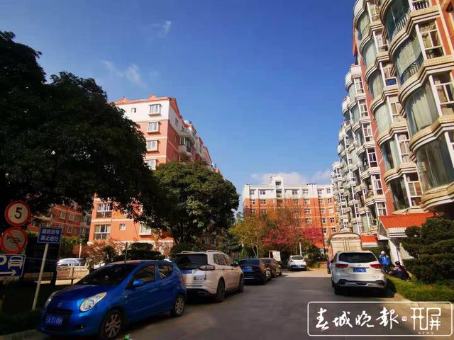 昆明一小区更换新物业,采集信息具体到家庭成员…业主担心泄露隐私 春城晚报-开屏新闻记者 张勇 摄影报道 1.jpg