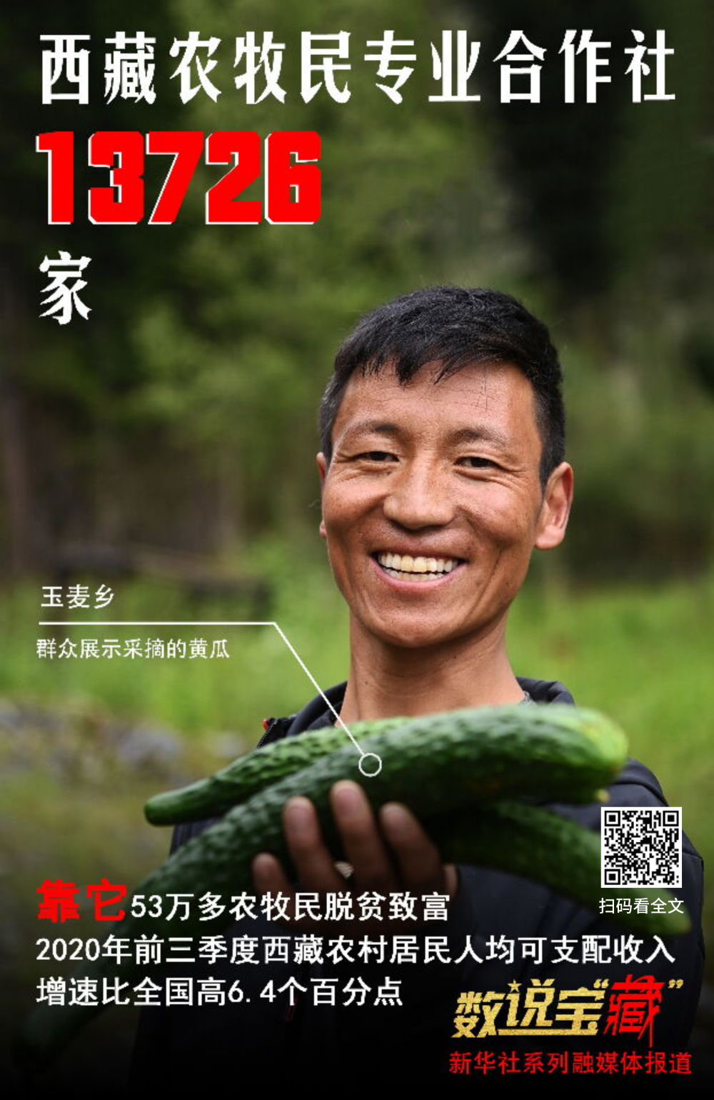 XxjdzbC007113_20210114_CBMFN0A009