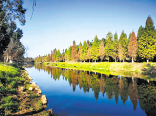 微信截图_20210125082228 微信截图_20210125082228