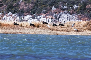 20210201A07_res20_attpic_icon 20210201A07_res20_attpic_icon