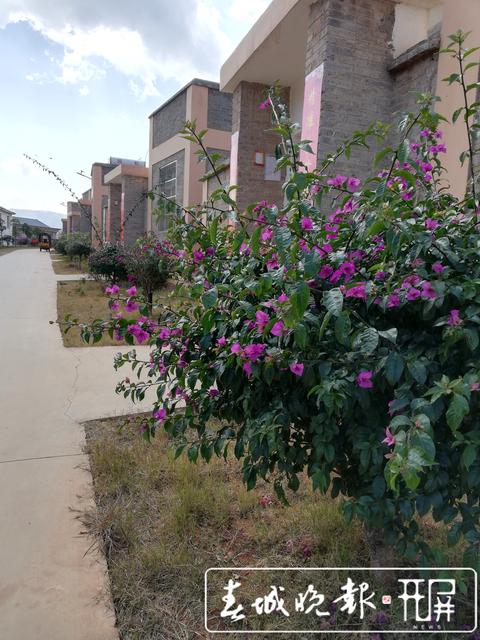 新春走基层之一 建档立卡贫苦户住进 (3).jpg