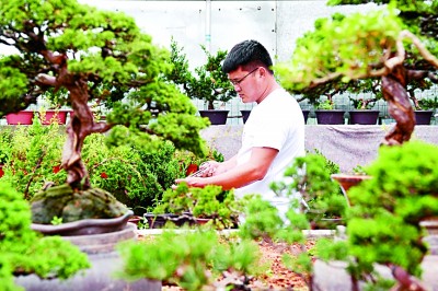 归巢与守望:返乡“小镇青年”群体探究 归巢与守望:返乡“小镇青年”群体探究