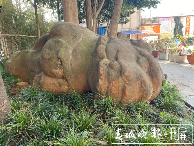 昆明300岁“石狮四兄弟”失散70多年有望团聚图 (5).jpg