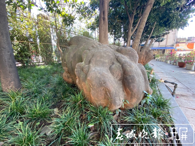 昆明300岁“石狮四兄弟”失散70多年有望团聚图 (6).jpg