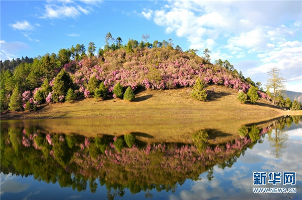 139760820_16140619222931n_副本