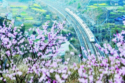 就地过年,“微旅游”成新潮流 就地过年,“微旅游”成新潮流