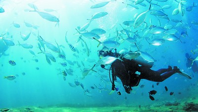 就地过年,“微旅游”成新潮流 就地过年,“微旅游”成新潮流