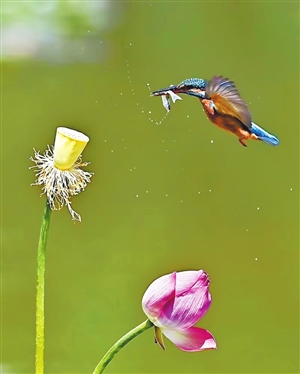 20210302A07_res08_attpic_icon 20210302A07_res08_attpic_icon