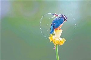 20210302A07_res12_attpic_icon 20210302A07_res12_attpic_icon