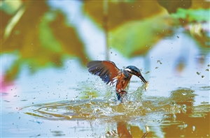 20210302A07_res16_attpic_icon 20210302A07_res16_attpic_icon