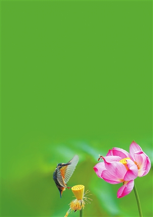 20210302A07_res24_attpic_icon 20210302A07_res24_attpic_icon