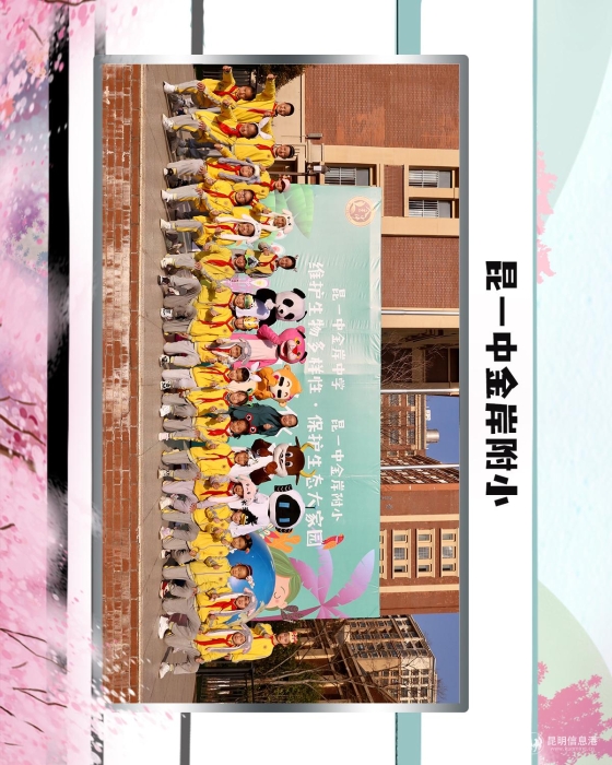 44昆一中金岸附小 44昆一中金岸附小